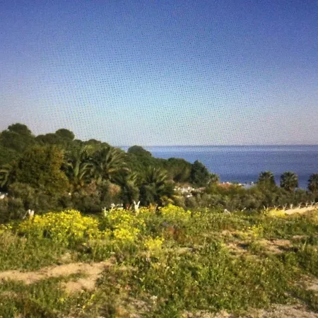 فيلة Ercu *